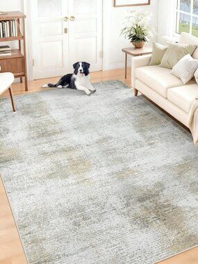 Washable Area Rugs for Living Room: 5x7 Rug Modern Abstract Neutral Soft Non Sli